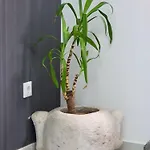 Appartement Delija Klek