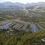 Delija