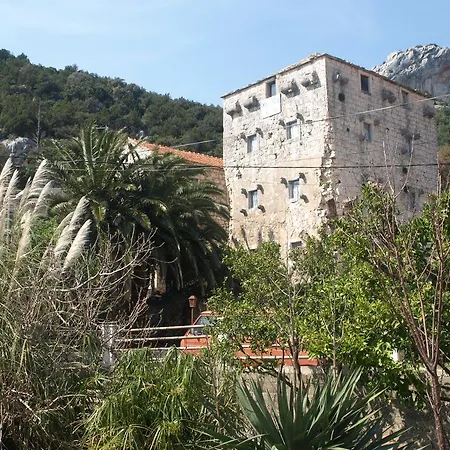 Delija Klek