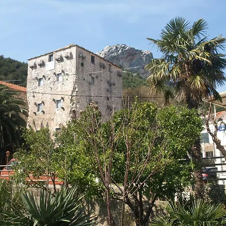 Delija