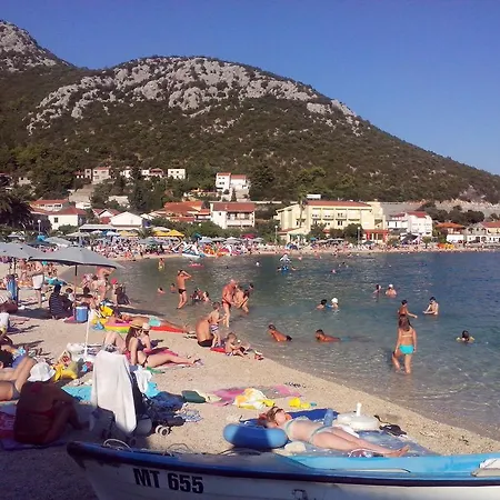 Delija