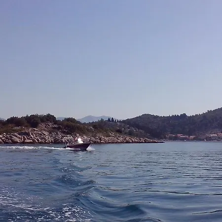Delija