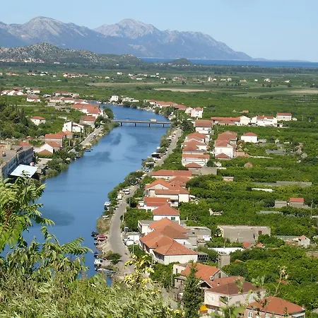 Delija