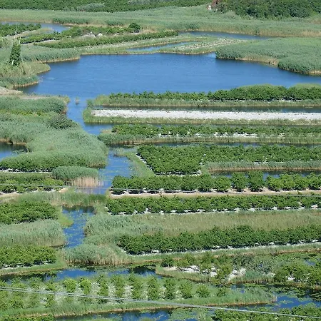 Delija Klek